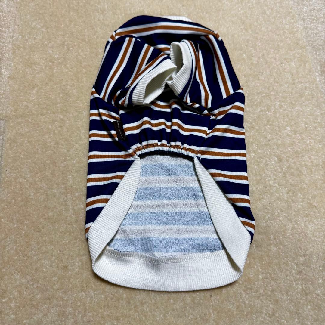 ペットパラダイス 福袋 2026 犬服 男の子 SS