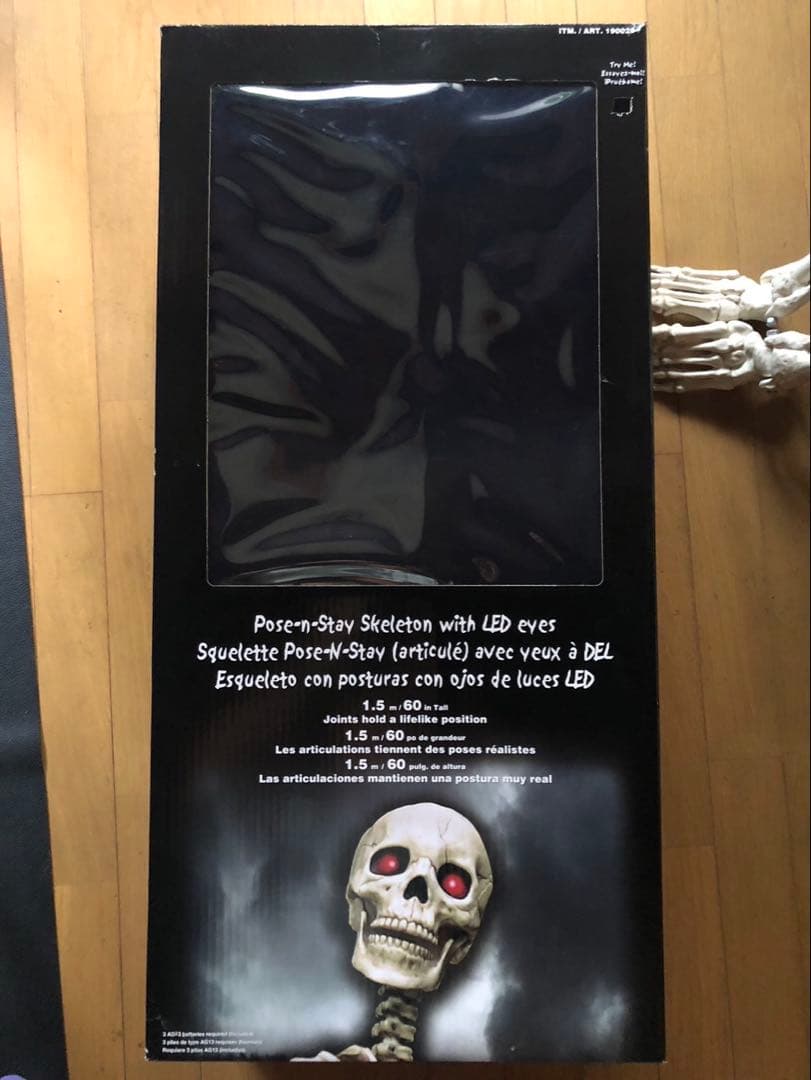 等身大　ガイコツ　スカル