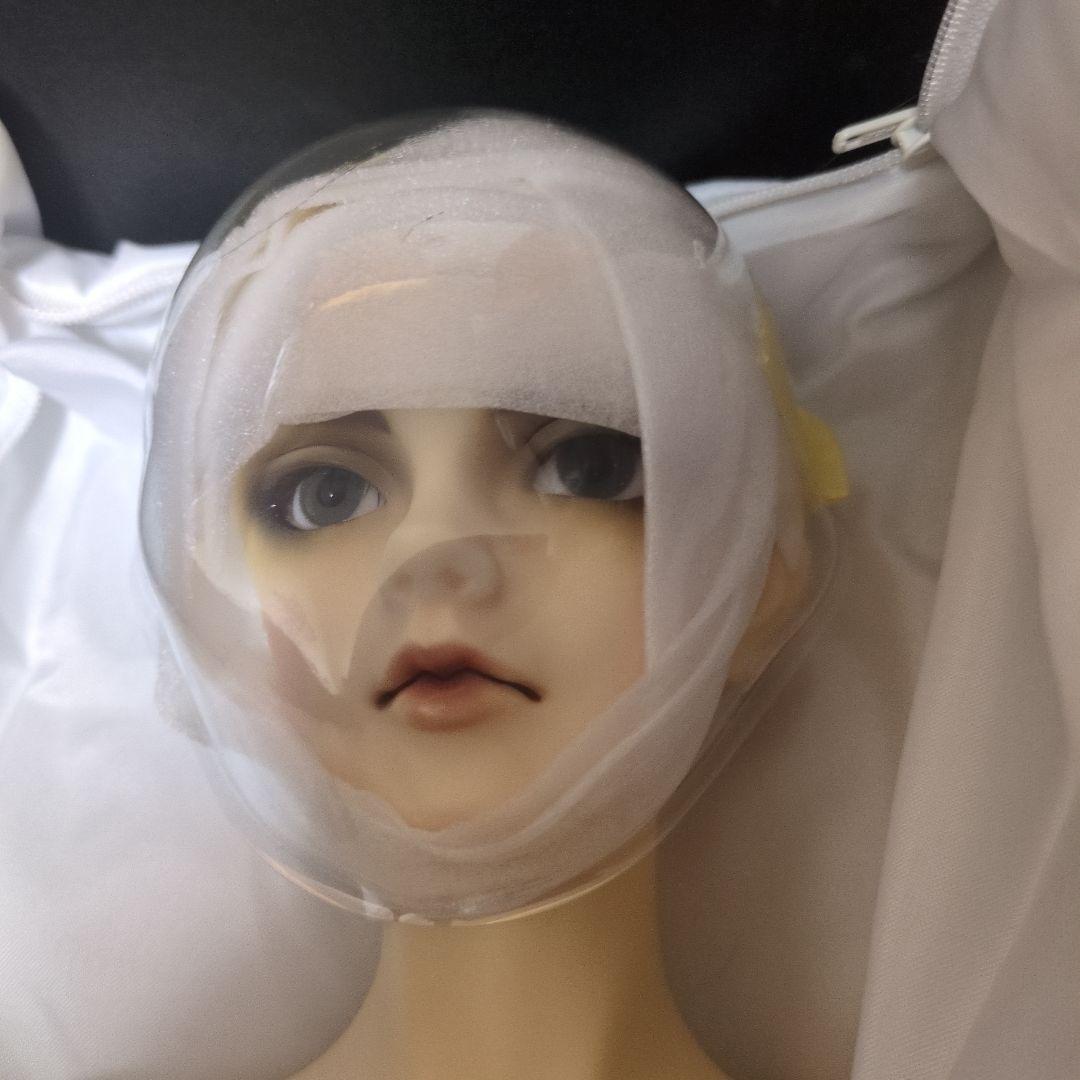 SD17 Reisner 2011年レイズナー