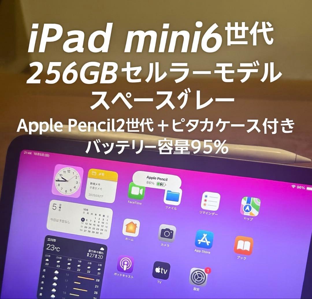 iPad mini 第6世代　256GB セルラーモデル）＋付属品セット