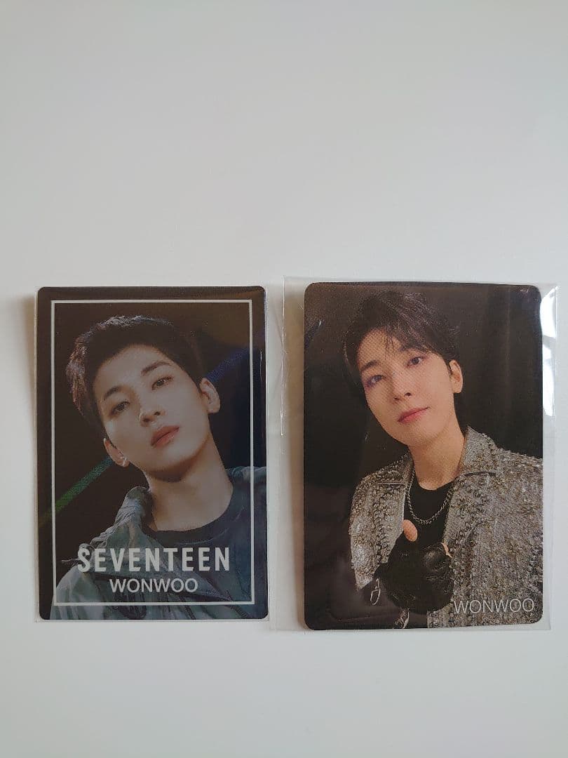 【WONWOO•ウォヌ】SEVENTEEN　ポーチ　チャーム　ステッカー　トレカ