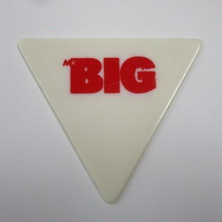 SLAYER ケリーキング Kerry King ESP ギターピック