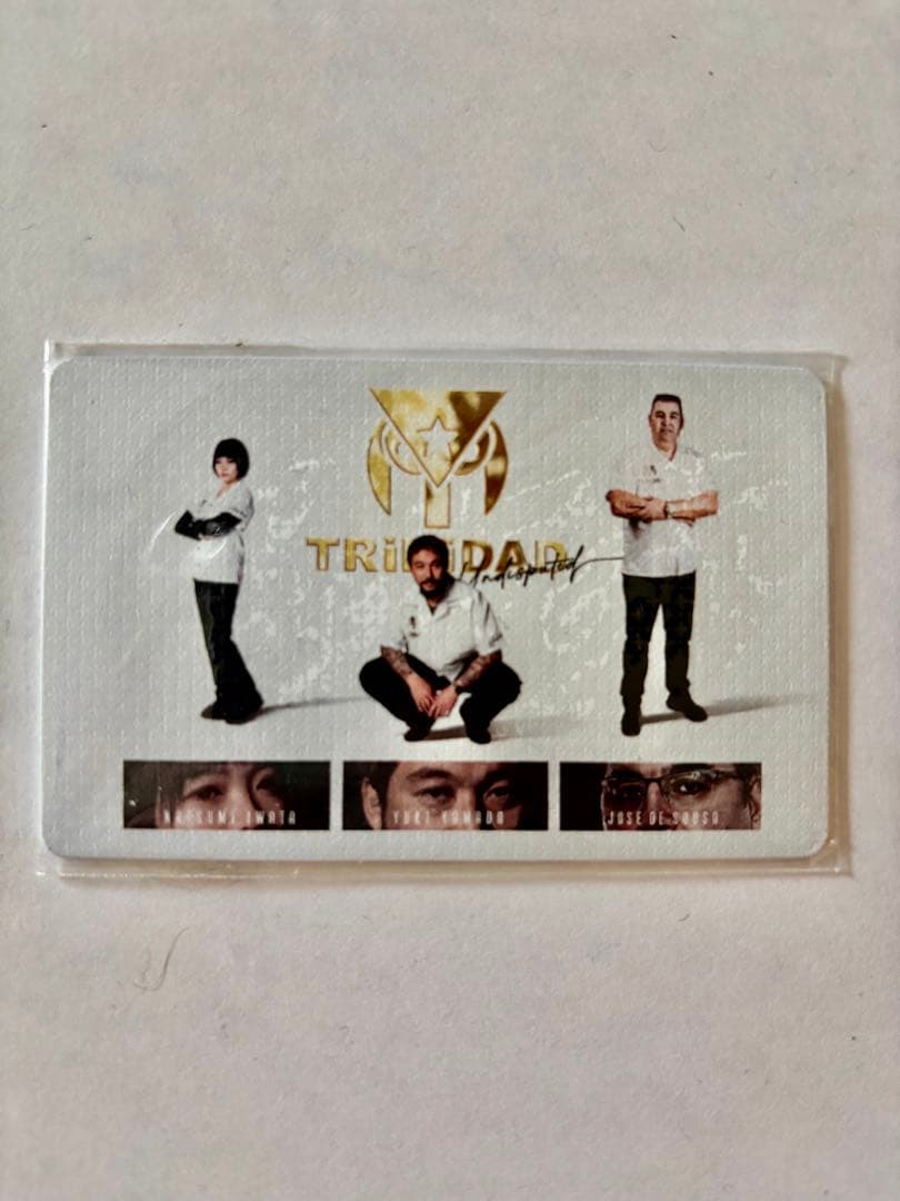 TRiNiDAD undisputed 限定ダーツライブカード 新品未使用