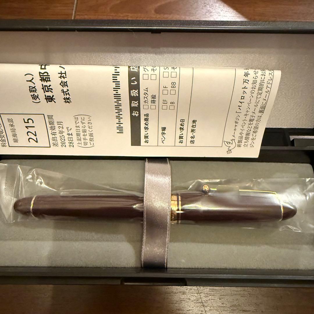 新品 PILOT CUSTOM 742 万年筆 ディープレッド　中字