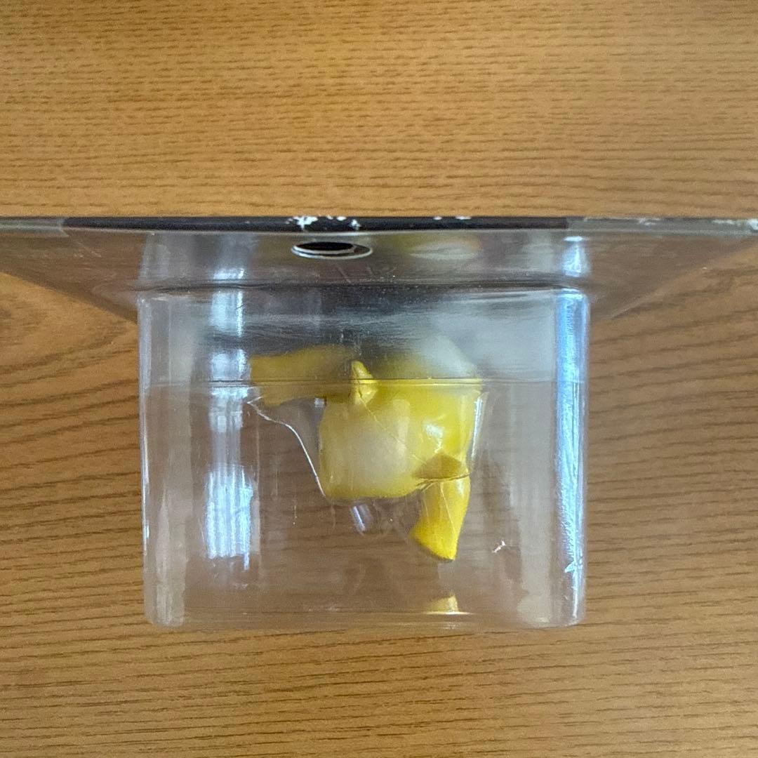 【1/11だけの特価】モンコレ初期　スリープ スリーパー セット　未開封