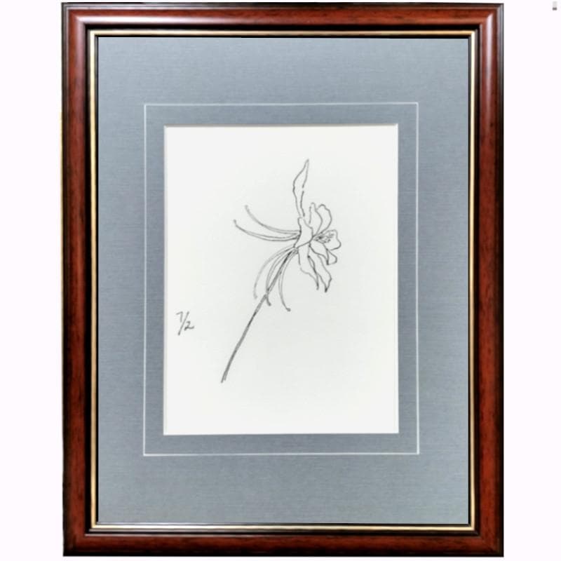 ☆坂本直行☆「 西洋オダマキ（イェロークィーン）」ペン画　太子　未使用！