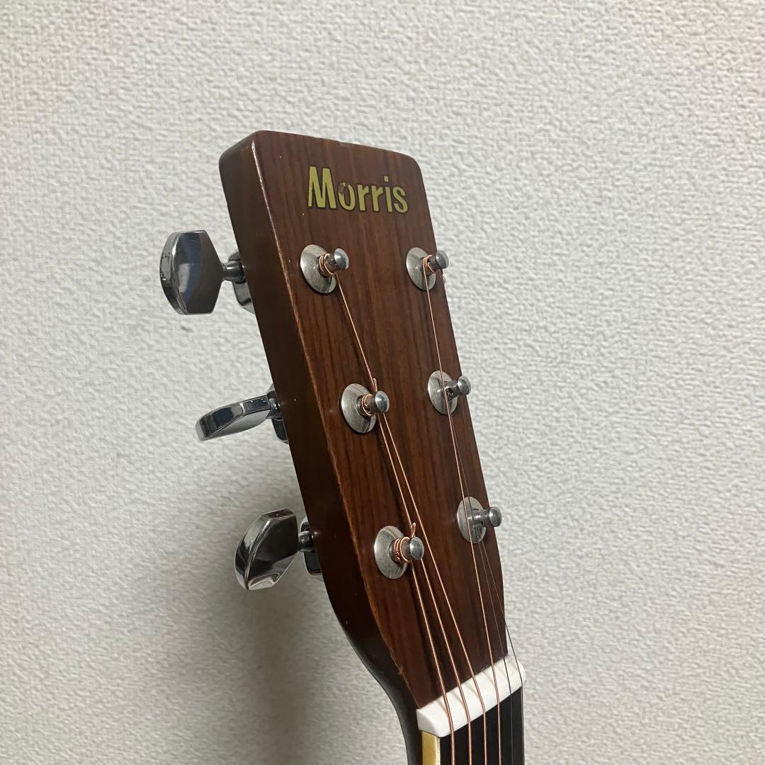 【弦新品】モーリスW-20 楕円幌馬車ラベル アコースティックギター