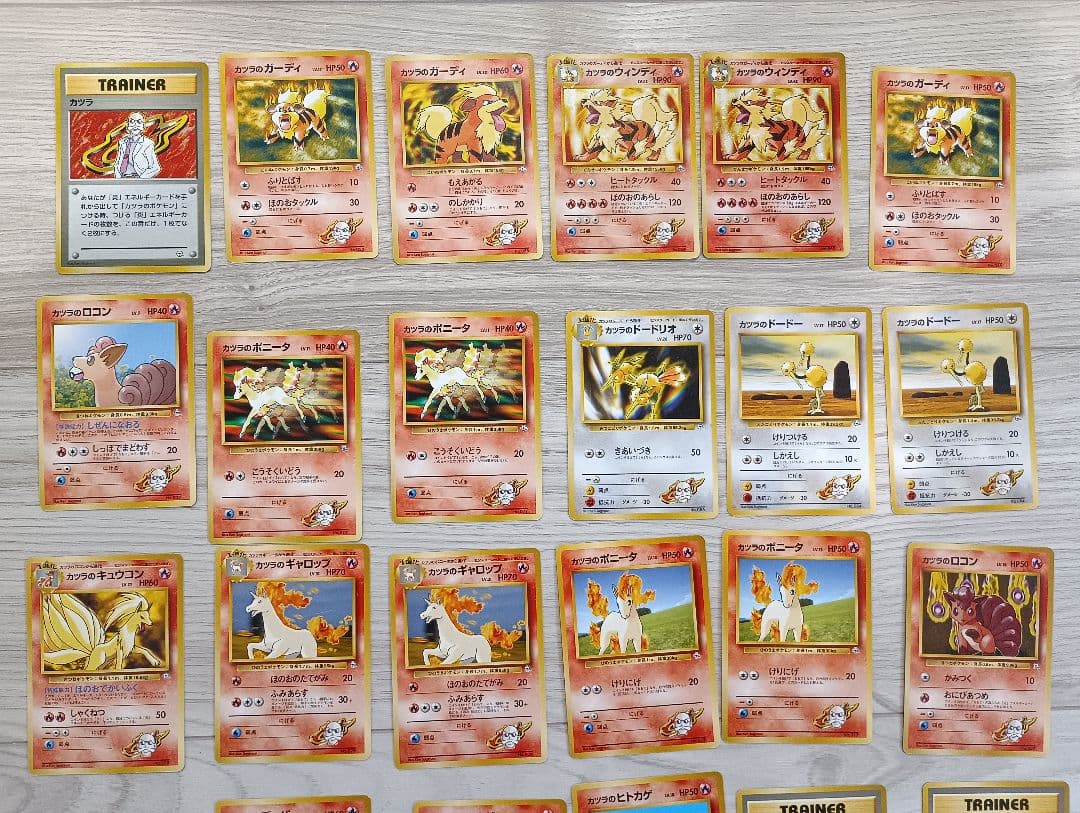 カツラデッキ　ポケモンジム