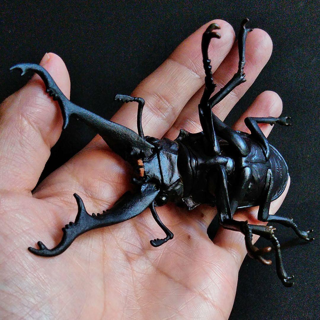 昆虫　フィギア　クワガタ　原寸大モデル