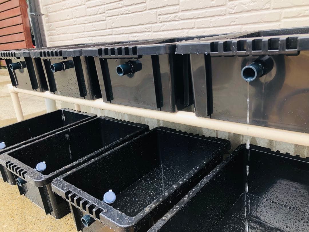 メダカ飼育ラック ブラック【接着剤付】 NVBOX13を12個置けます