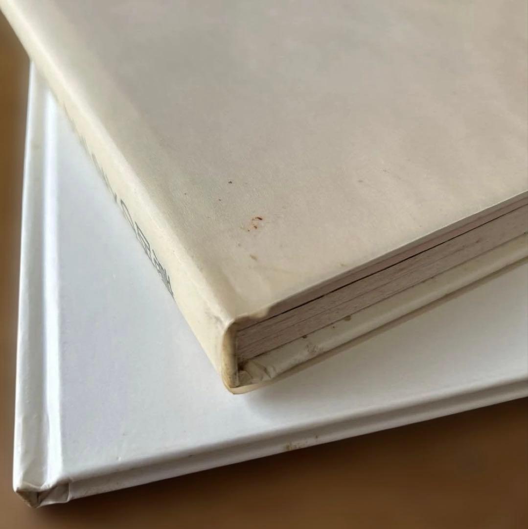 【希少】意味のメカニズム　荒川修作／マドリン・ギンズ　リブロポート