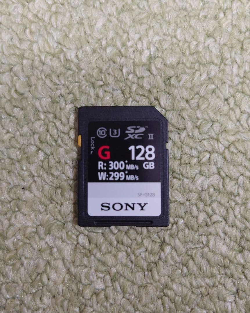 SONY FDR-AX55 4Kビデオカメラ +SDXCカード +カメラケース