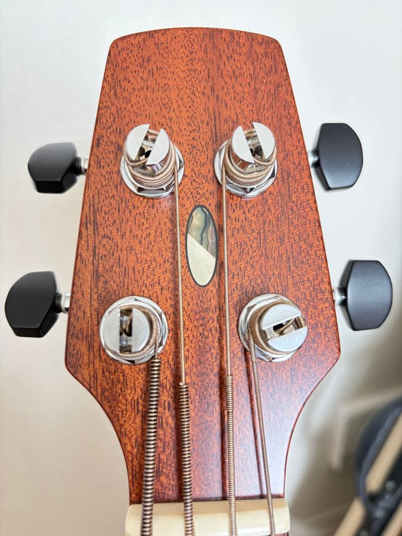 Seilen AMB-100 モバイルミニベース