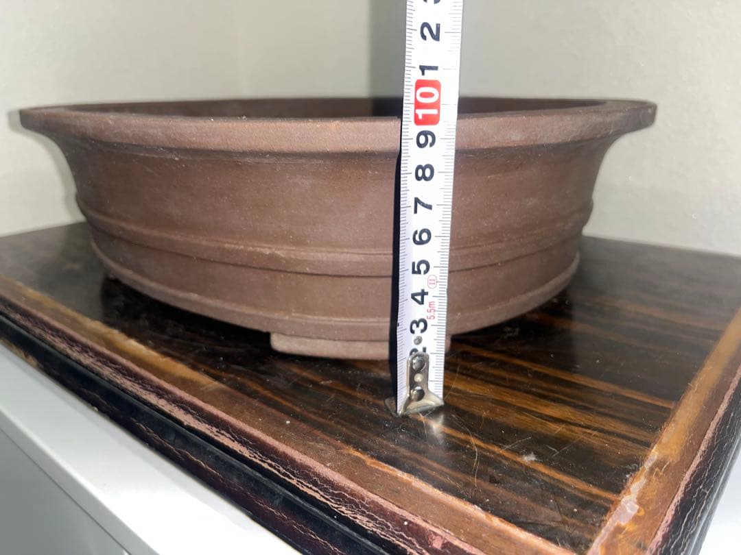 外縁胴紐楕円鉢　中国宣興　落款　古盆器　盆栽鉢