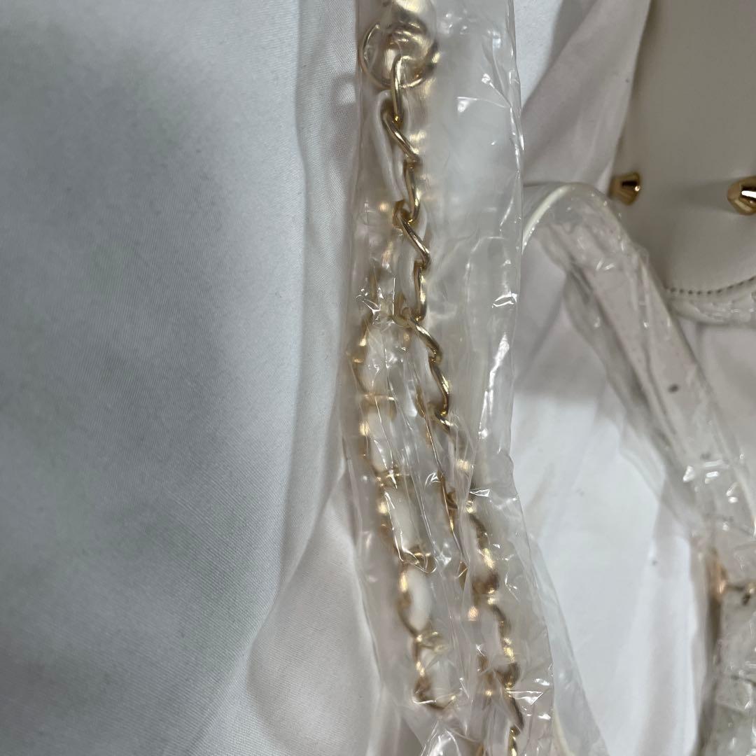 リズリサバニティバッグ