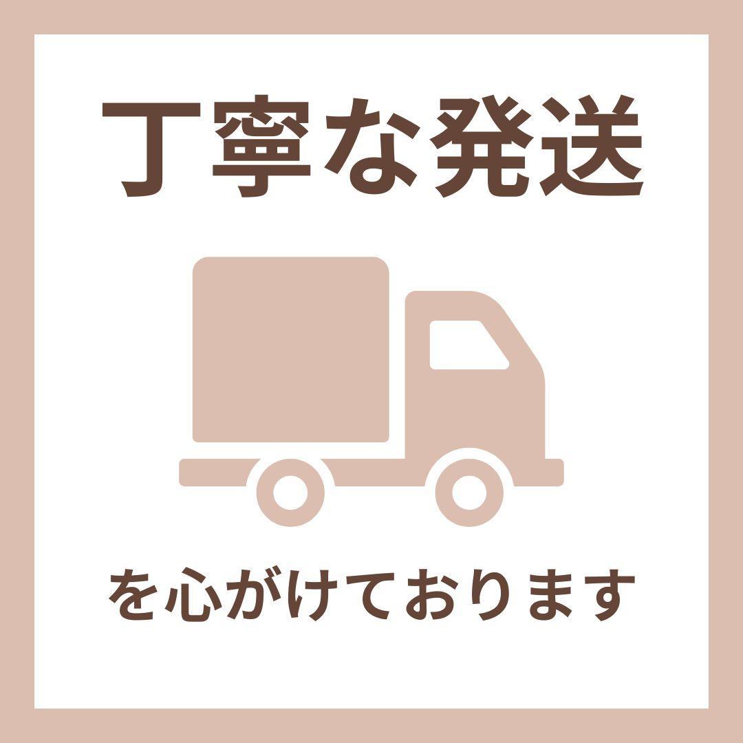 掃除機 コードレス ブラシレスモーター コードレス掃除機 一人暮らし 緑色LED