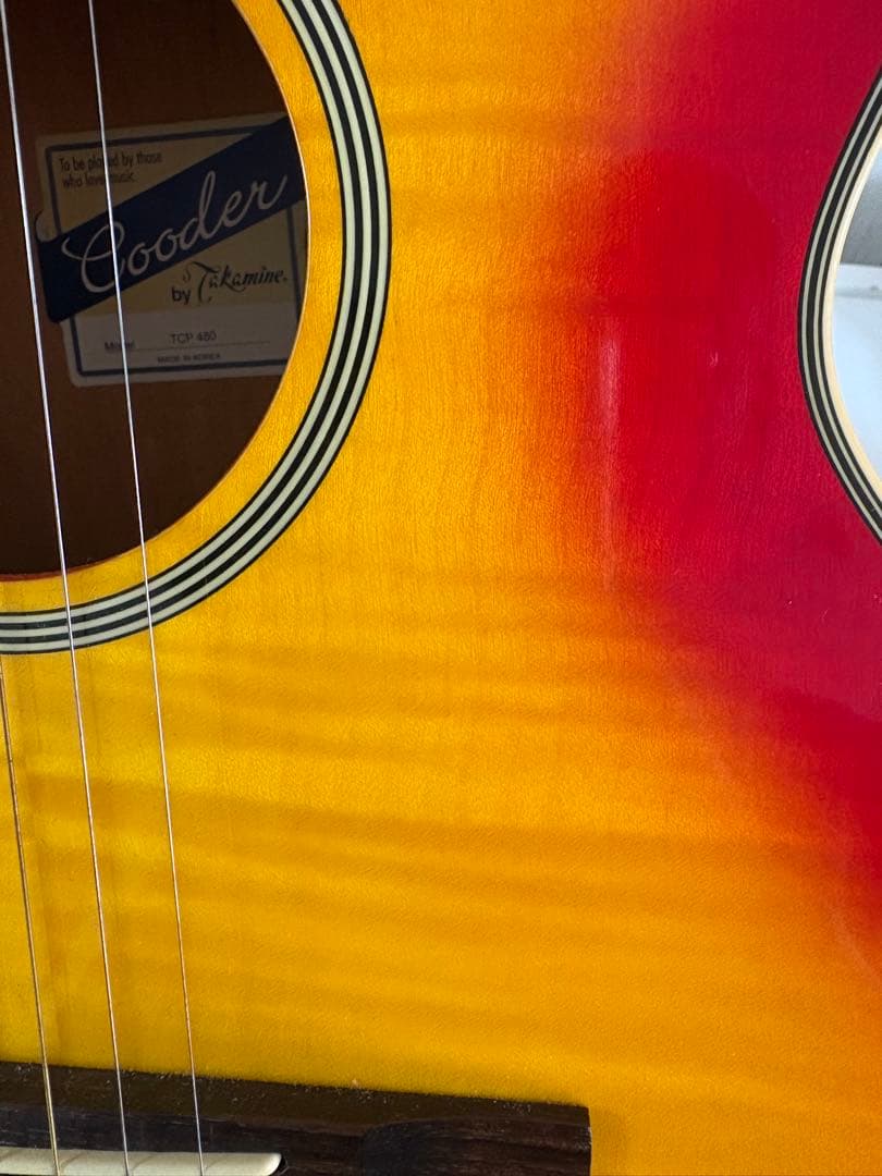 Cooler by Takamine アコースティックギター　TCP-480