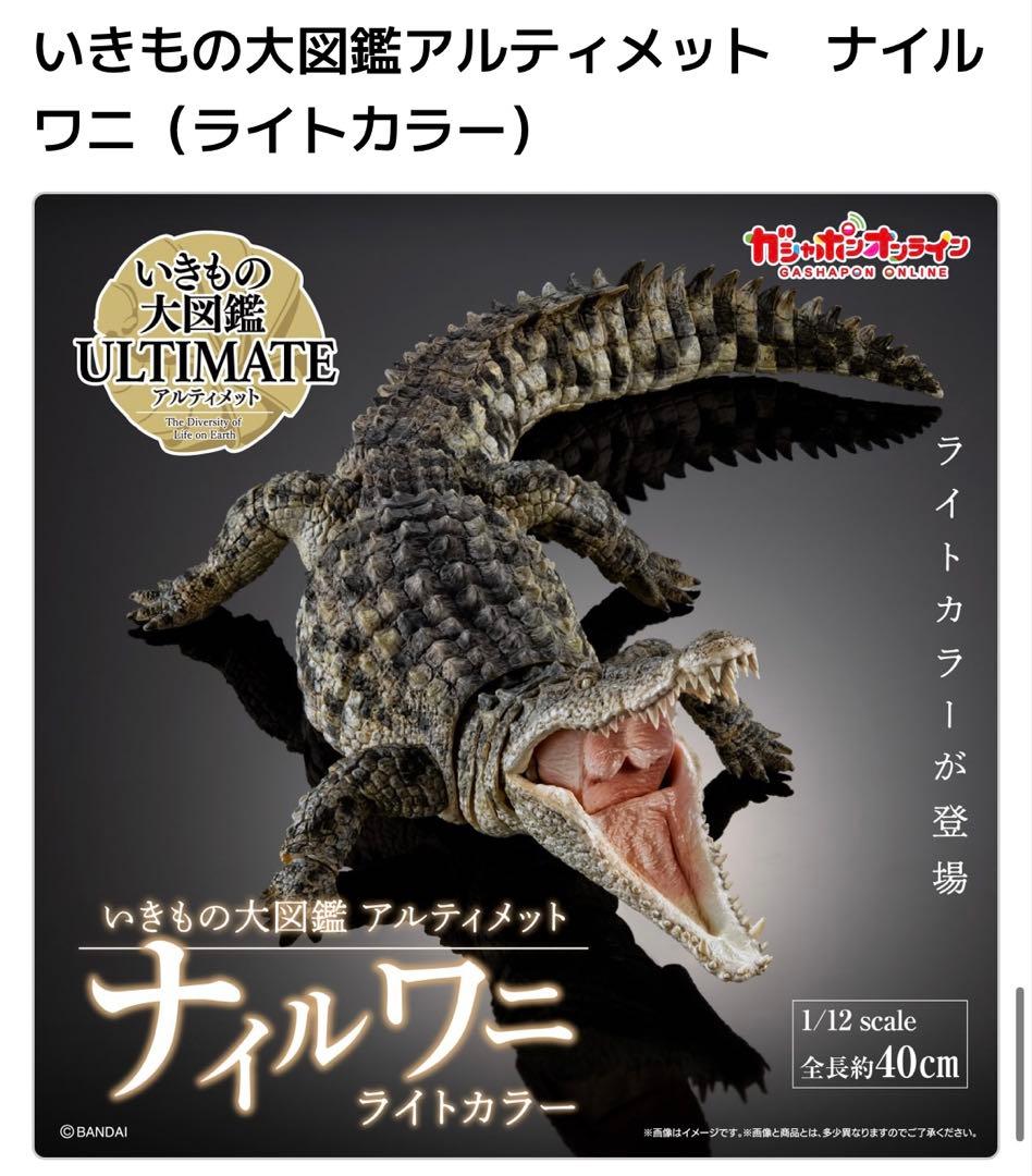 ナイルワニ(ライトカラー) いきもの大図鑑アルティメット