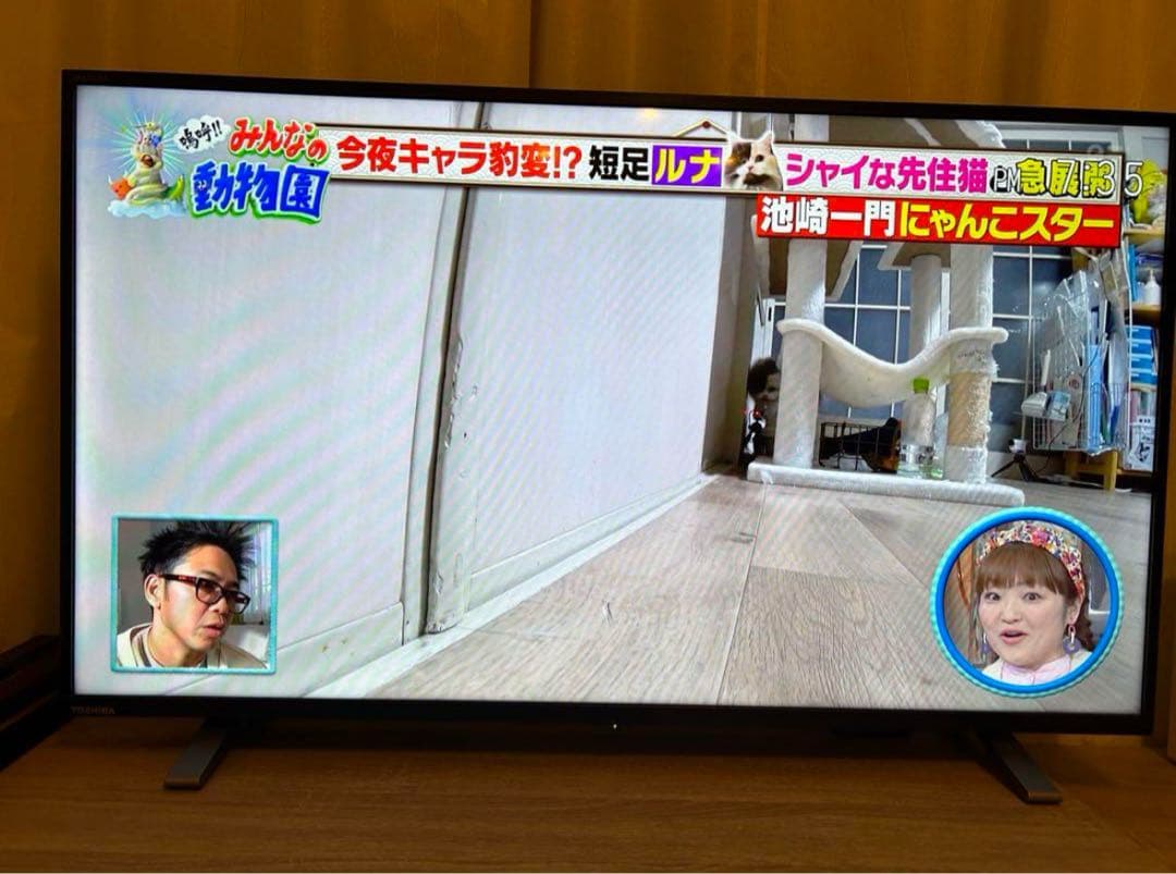 REGZA テレビ TV レグザ 40㌅ Netflix Amazonプライム