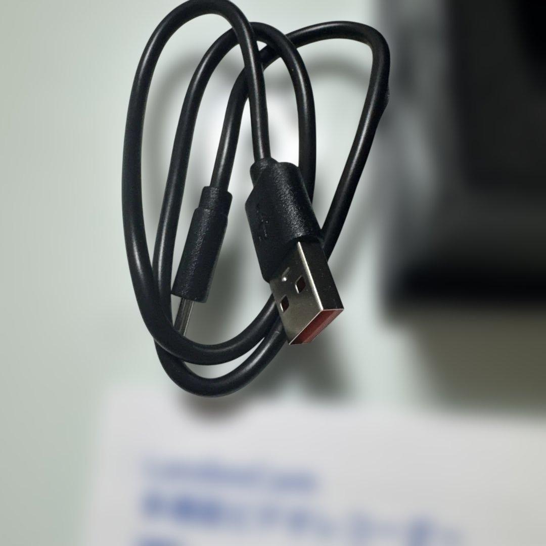 LandeeCam 小型カメラ