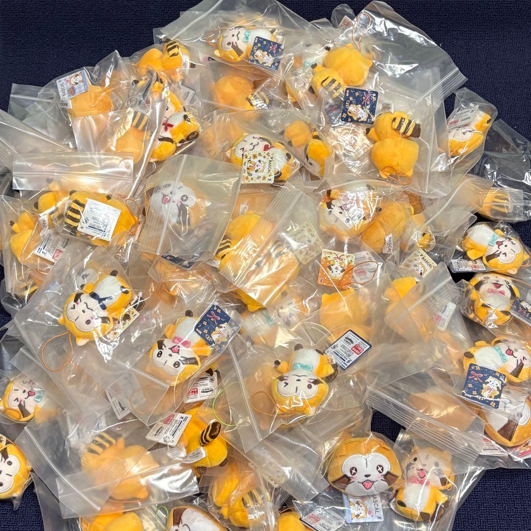 ラスカル ぬいぐるみストラップ フェイス あらいぐま 約100点