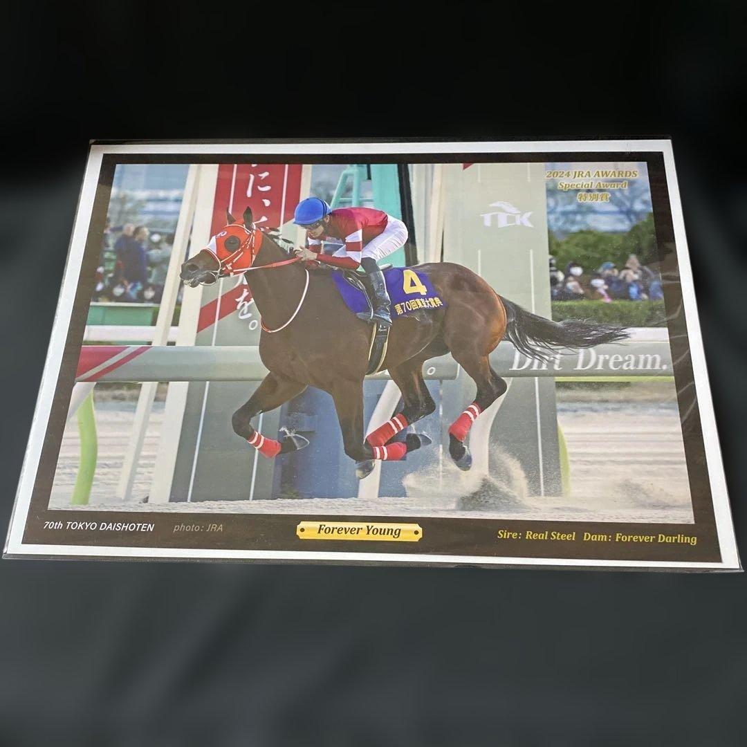 【競馬】フォーエバーヤングJRA賞デジタルフォト／2024 JRA AWARDS