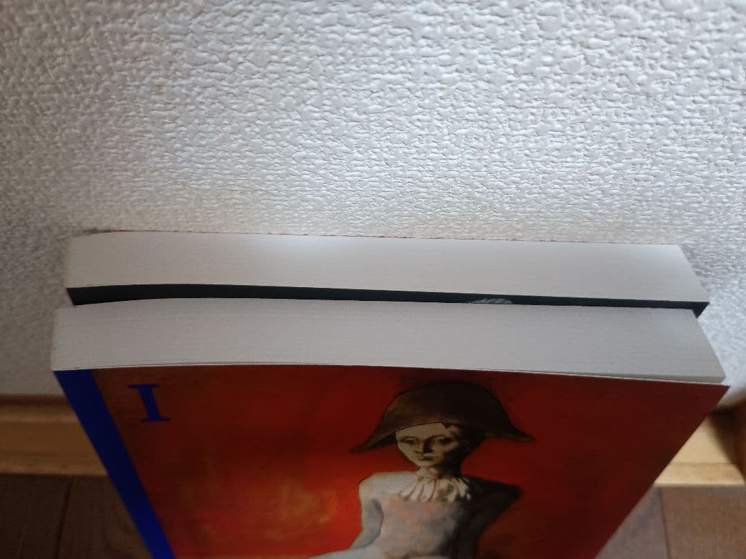 ピカソ Picasso TASCHEN タッシェン 作品集 2冊セット