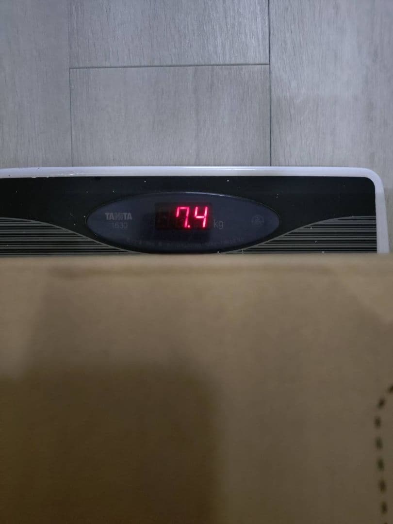 鹿の角詰め合わせ