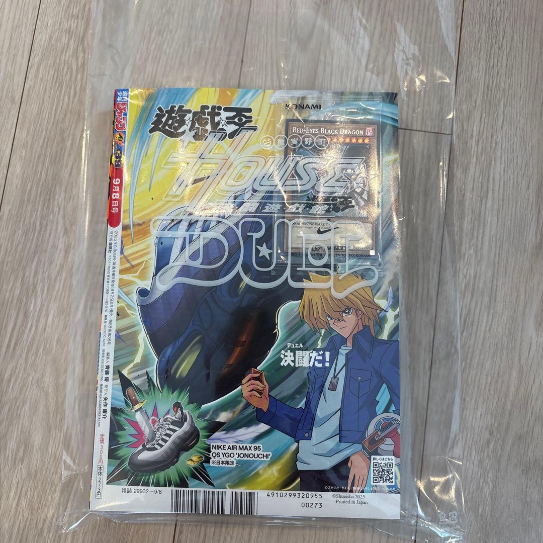 【非売品】超希少NIKEコラボレッドアイズブラックドラゴン