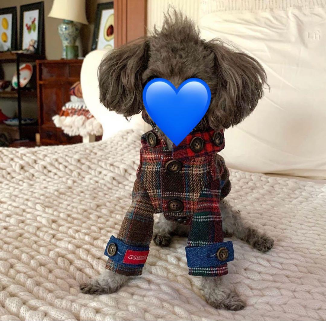 アトリエGG  テディベアコート