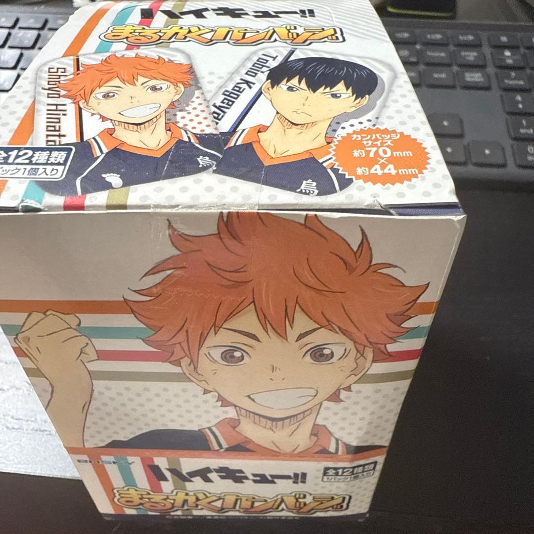 ENSKY ハイキュー まるかく 缶バッジ 全12種類 三月獸BW