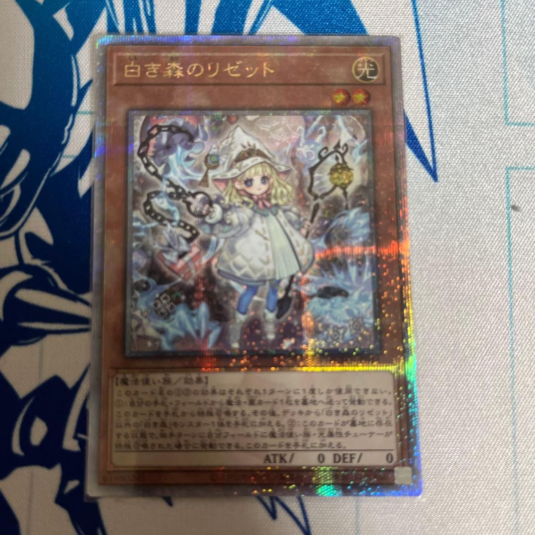 恵*可様 白き森のリゼット　25thシークレット