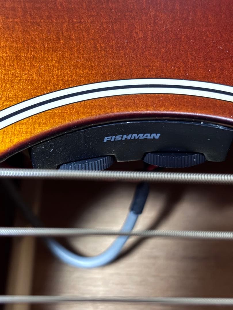 オール単板Recording King トリプルオーエレアコースティックギター