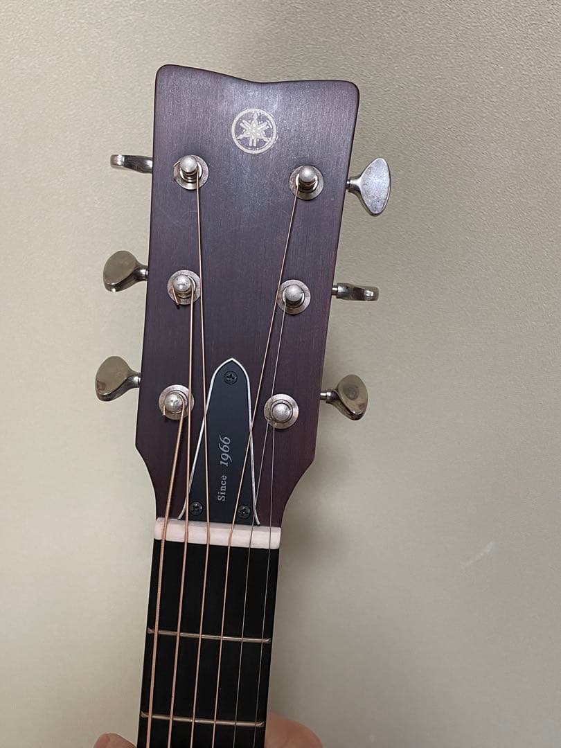 FSX5 YAMAHA Red Labelシリーズ アコースティックギター