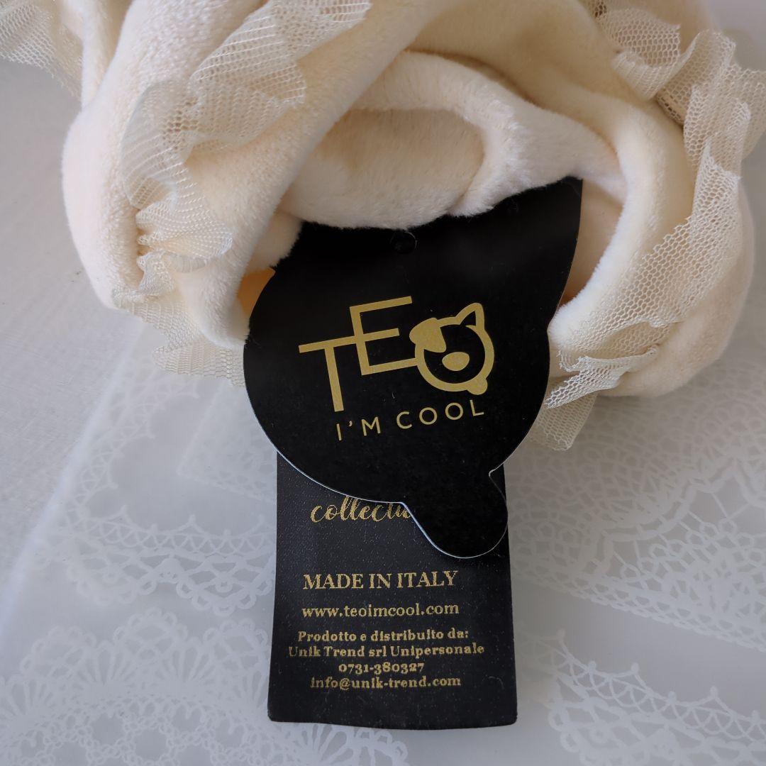 TEO i’mcool LADY IVOLY pull