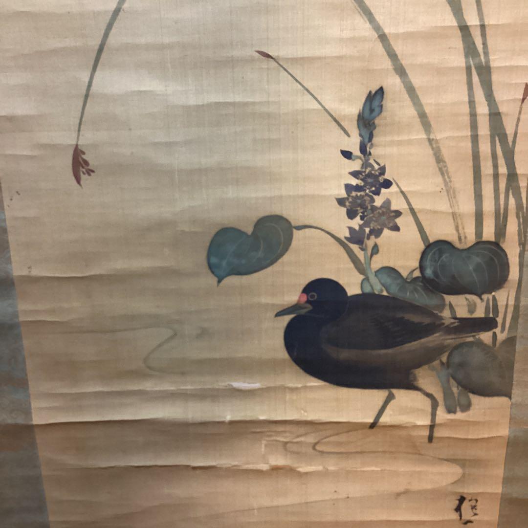 酒井抱一筆　絹本彩色画　花鳥画【水鳥之図】肉筆落款【必携落款字典】模写　NO57