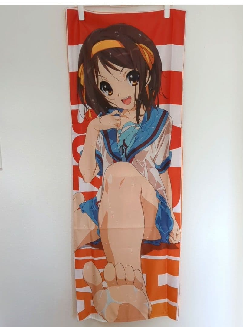 涼宮ハルヒの憂鬱　抱き枕カバー　ニュータイプ　25周年記念　イベント