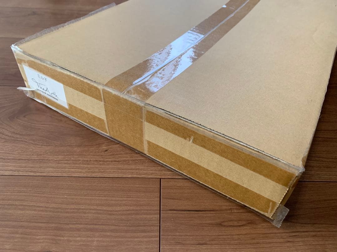 未開封 TheArth 38explore ミル子 ざあーす シェルコン25