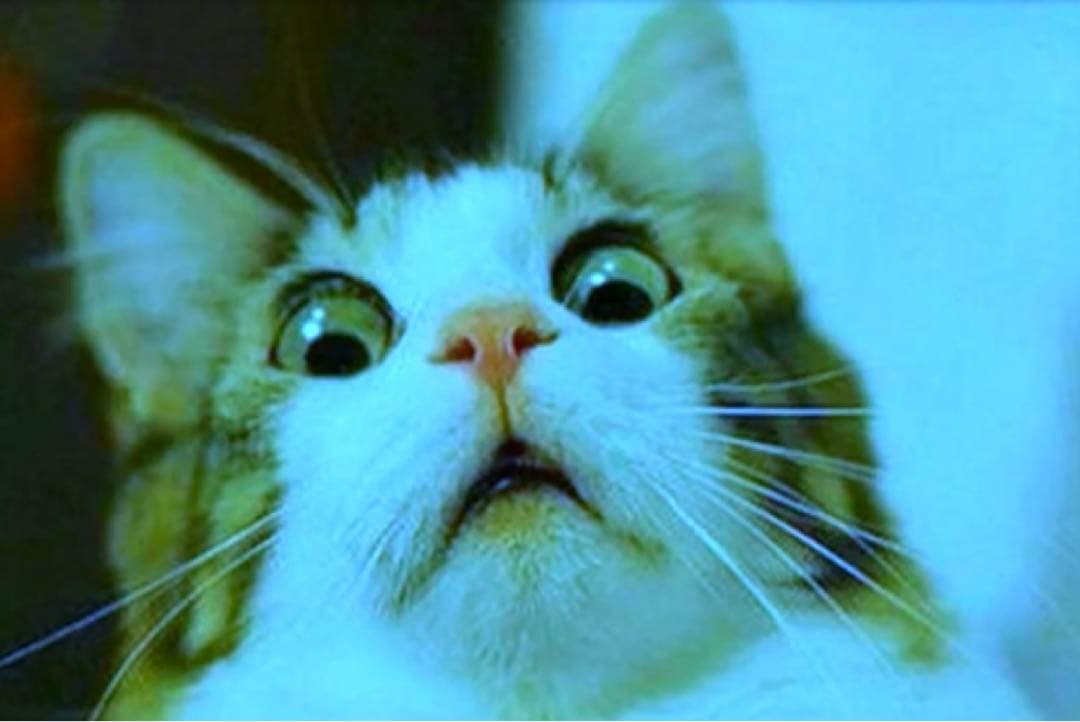 【※エラー品】 アイナナ きらどるぬいぐるみ モンぬい メガネなし 二階堂大和