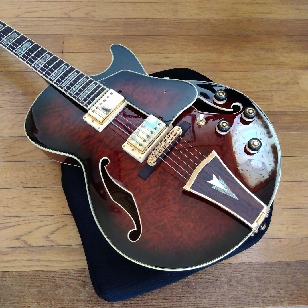 アイバニ―ズ　フルアコ　AK95―DBS―12―03　ソフトケ−ス付き