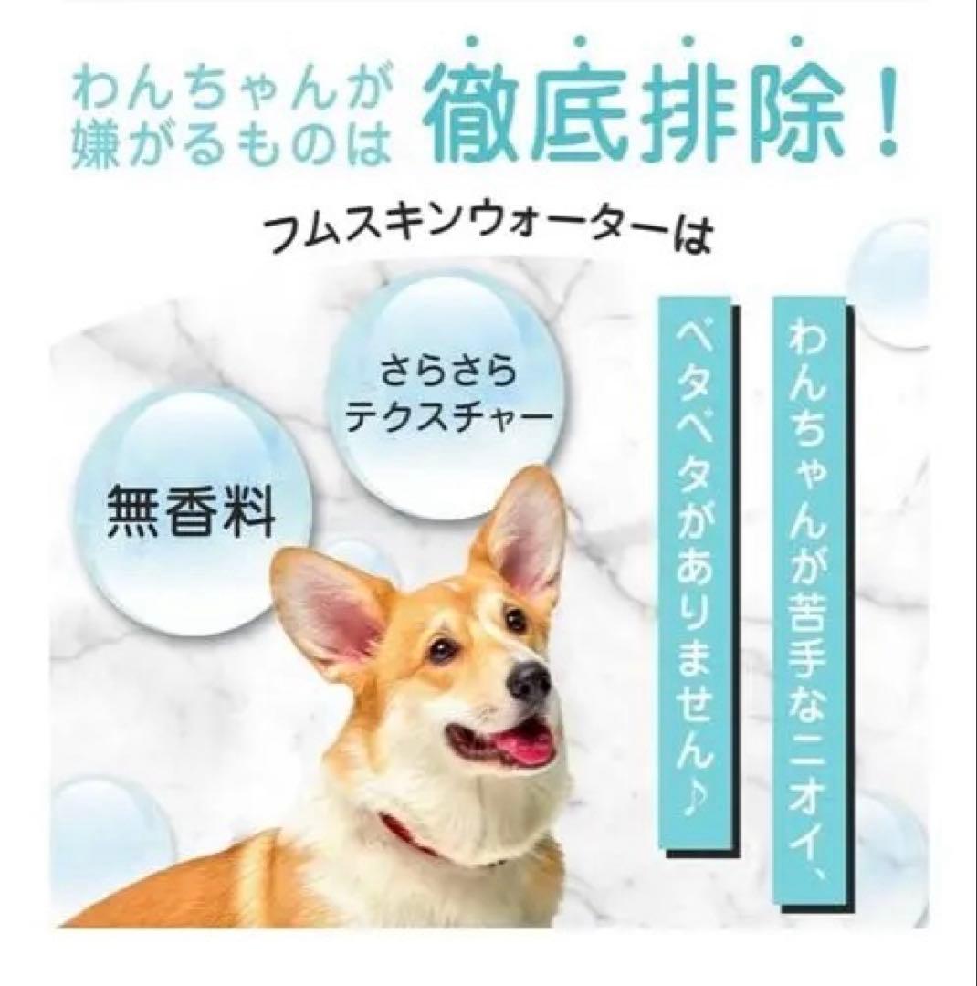 MOREMOTTO humuskin water 3本 スプレーヘッドセット2本