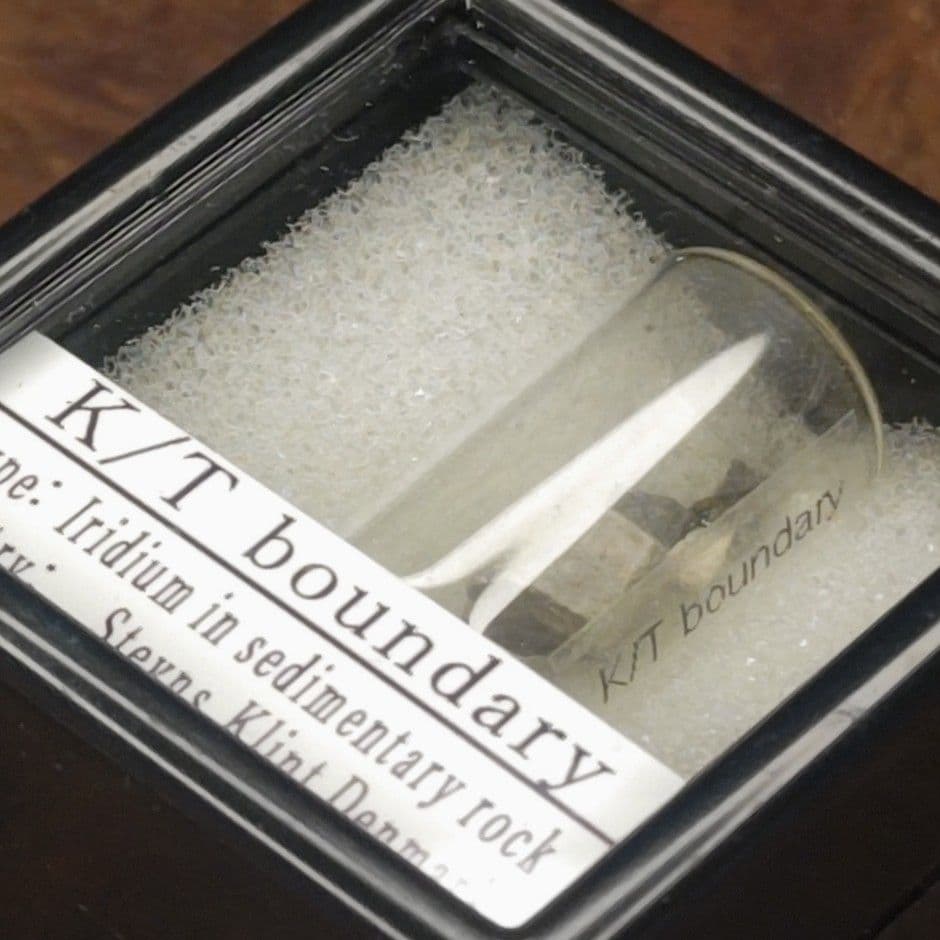 入手不可！小惑星のかけら Ｋ-Ｔ境界層（K/Pg境界頁岩）　標本　小