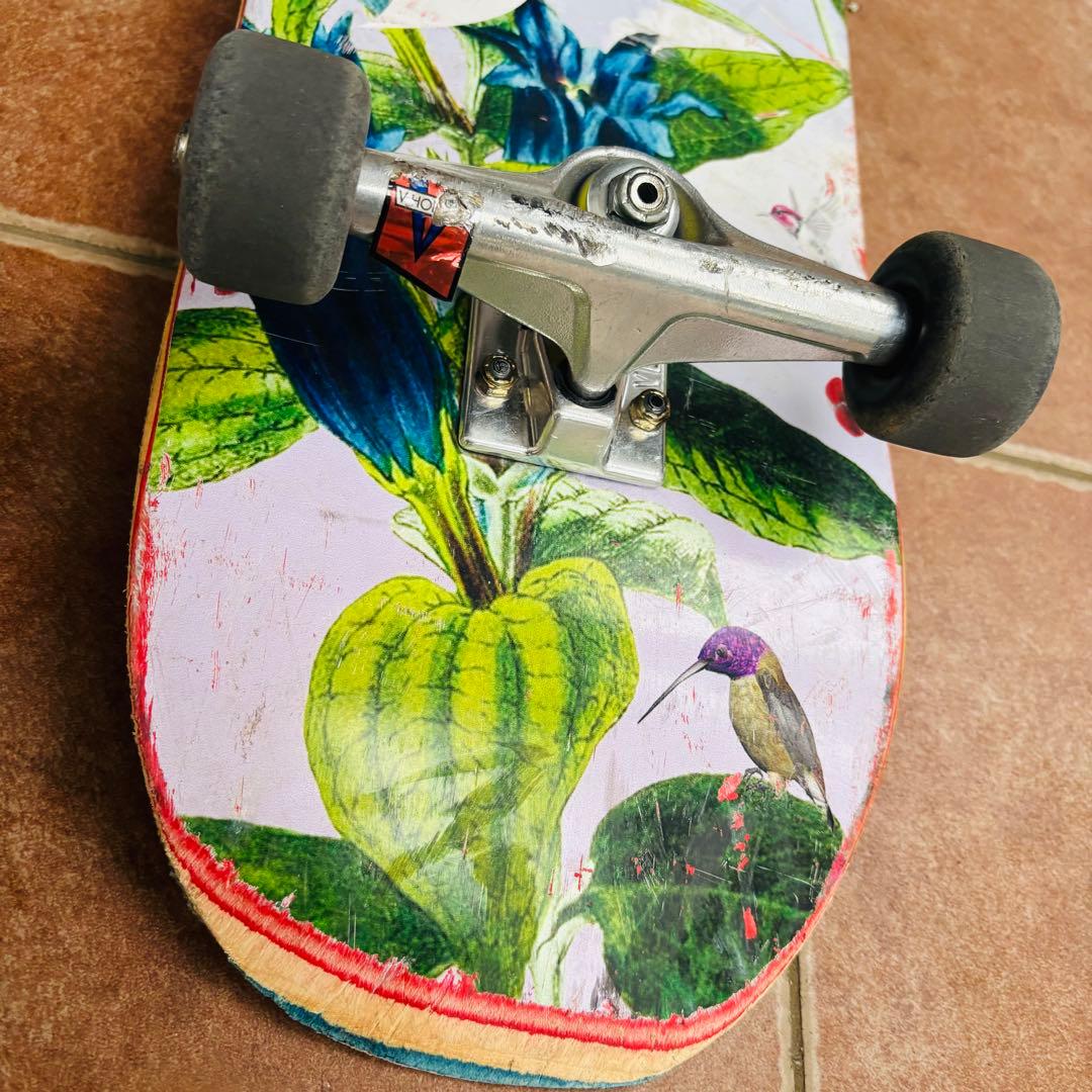 PRIMITIVE スケートボード コンプリートセット 8.0インチ