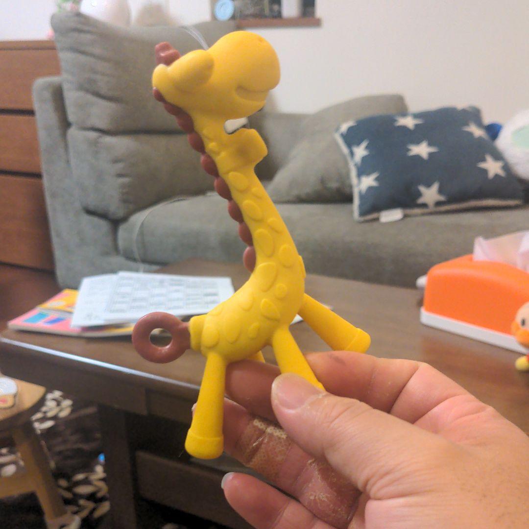 キリンの歯固め