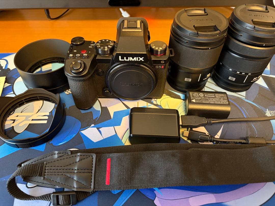 Panasonic Lumix S5Ⅱ (DC-S5M2)多数オプション＋保証書