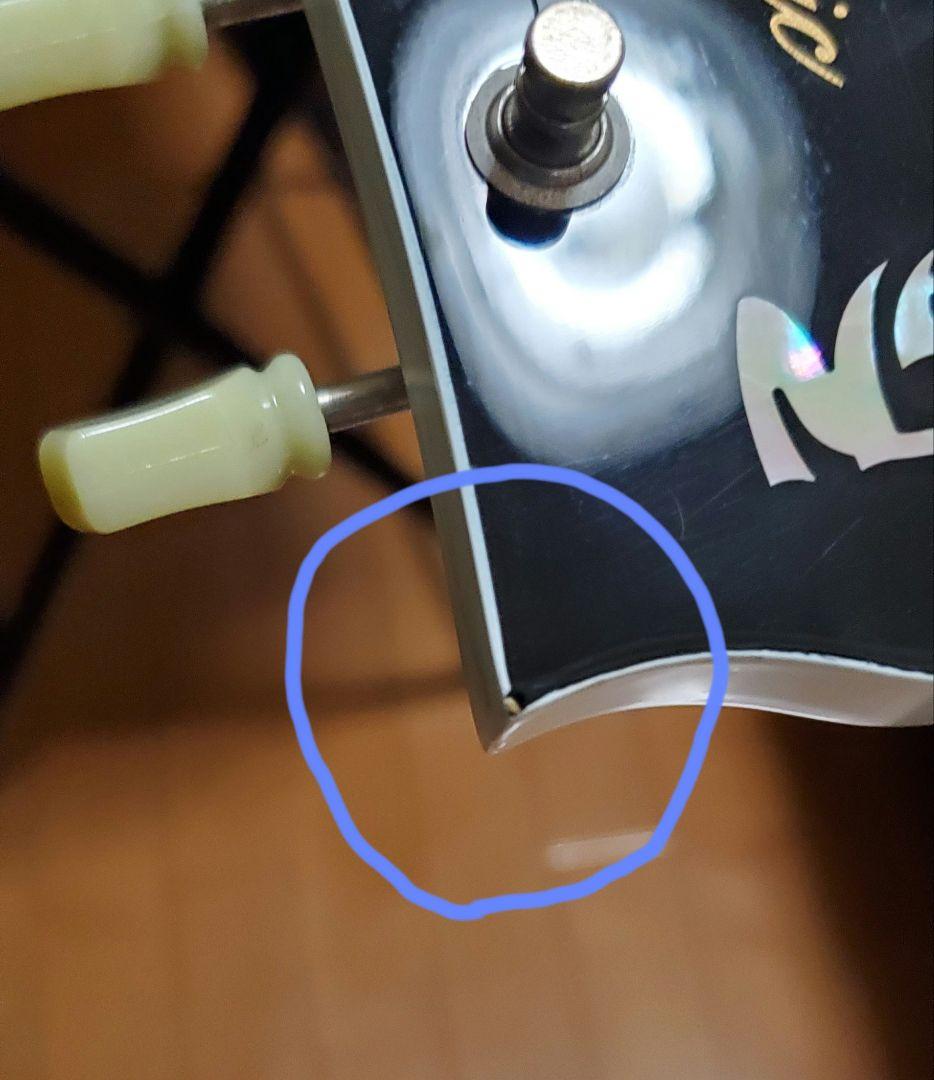 FGN NSG100-SW[カリマンタン・エボニー指板]