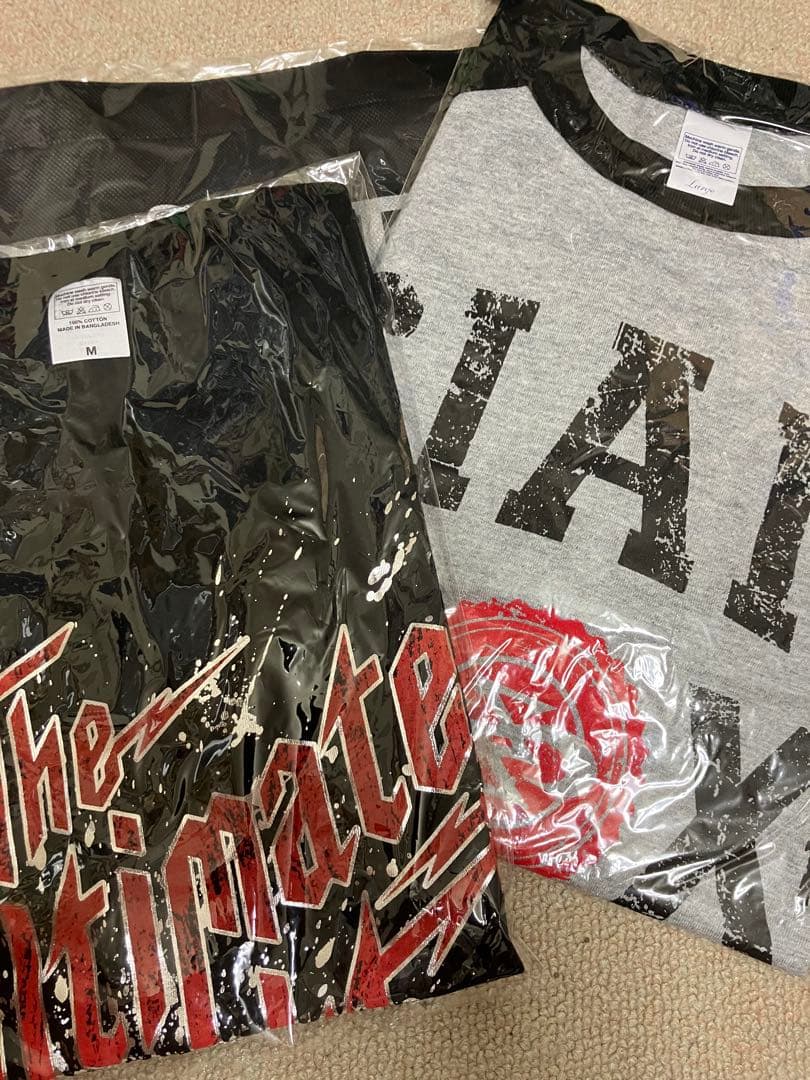 SIAM SHADE レアセット！Tシャツ2枚、バック