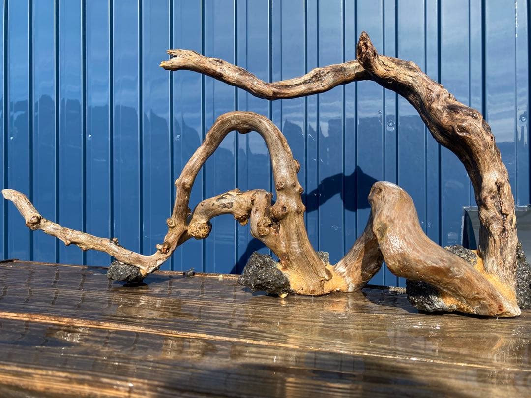 流木レイアウト A863