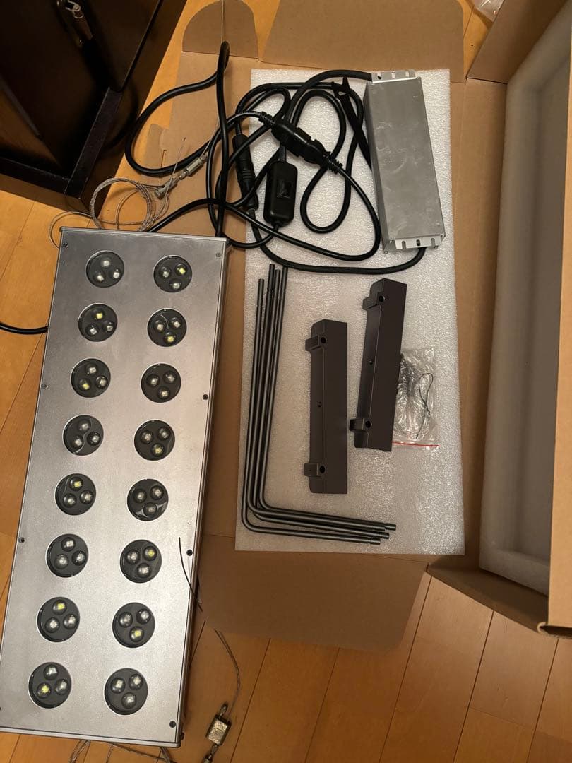 zoox レブロン 60