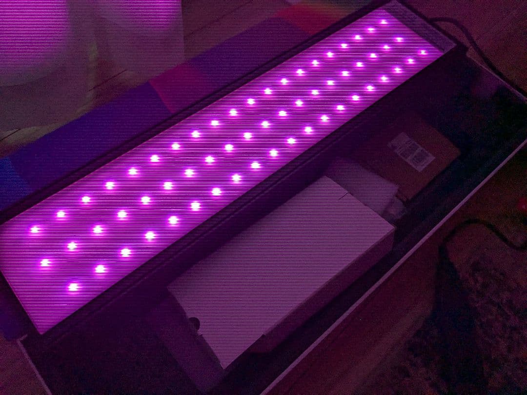 chihiros WRGB Ⅱ 60cm